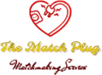 THE MATCH PLUG LLC